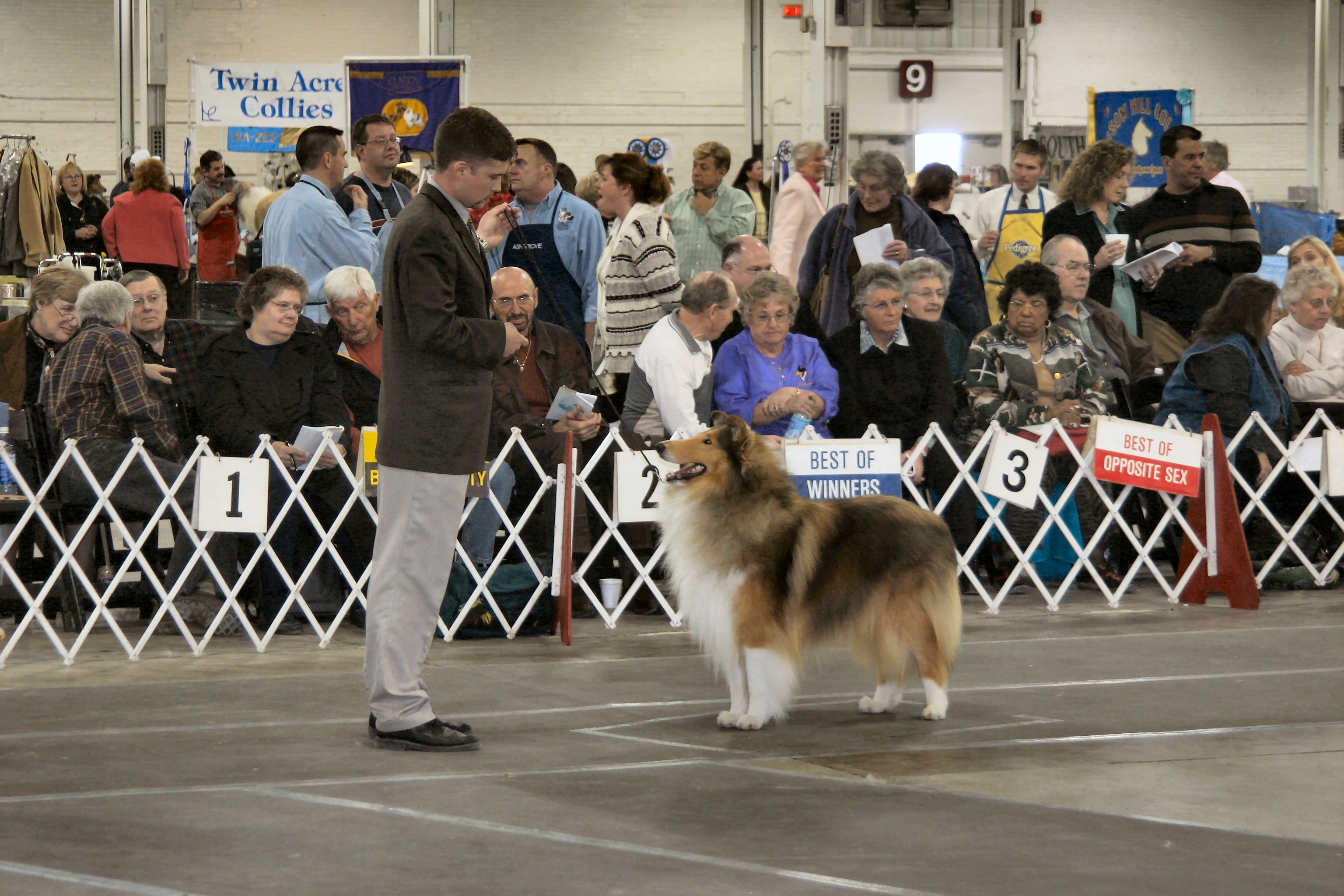 Barksdale Beauregard of Belleville