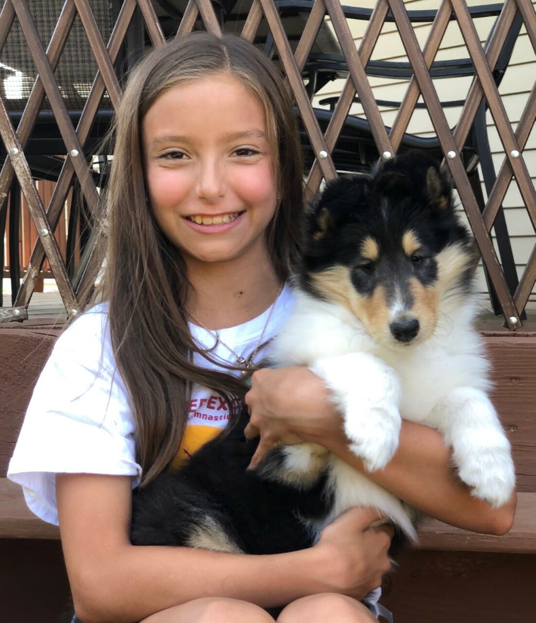 Tri-Color Rough Collie Puppy and child