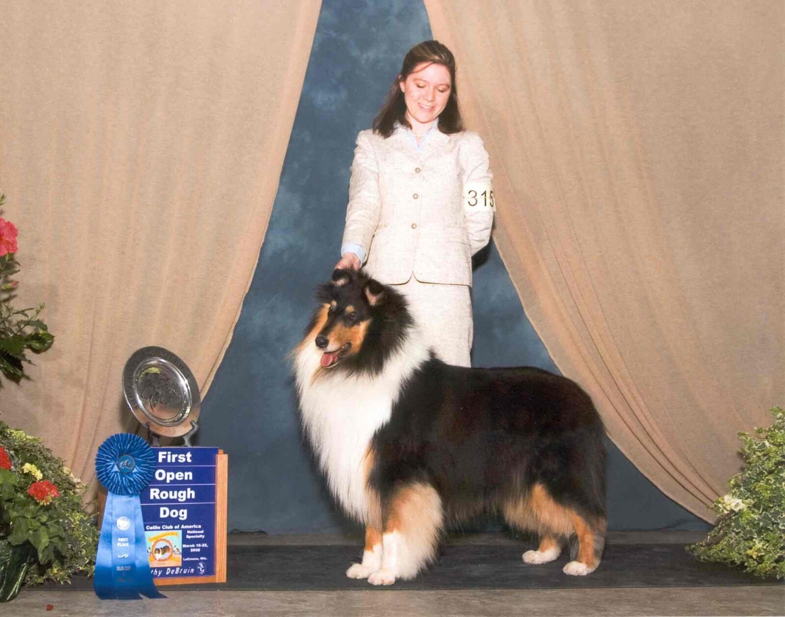 Collie_CCA_Tri-Color