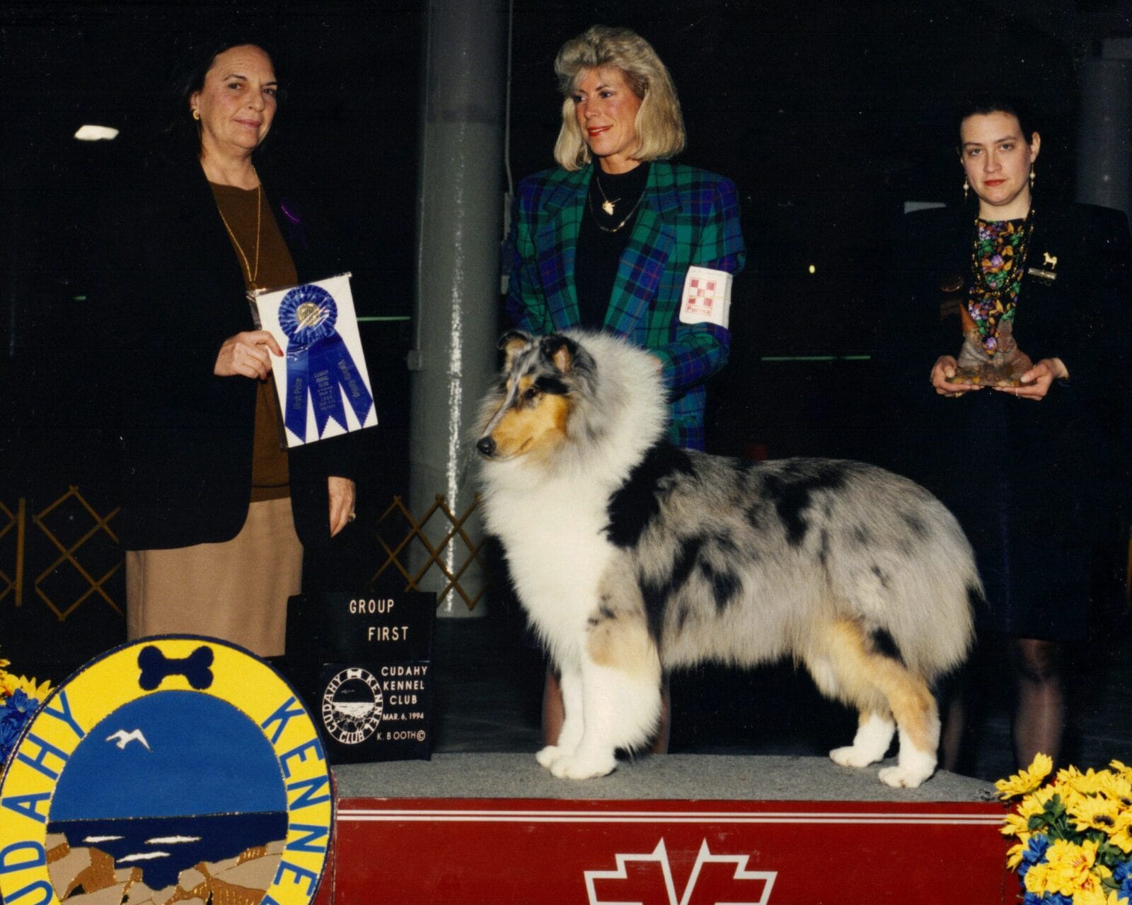Blue Merle Collie - Ch. Highcroft Wyndlair Azure
