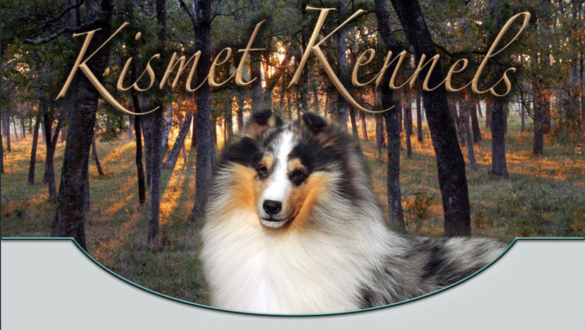 Kismet Kennels