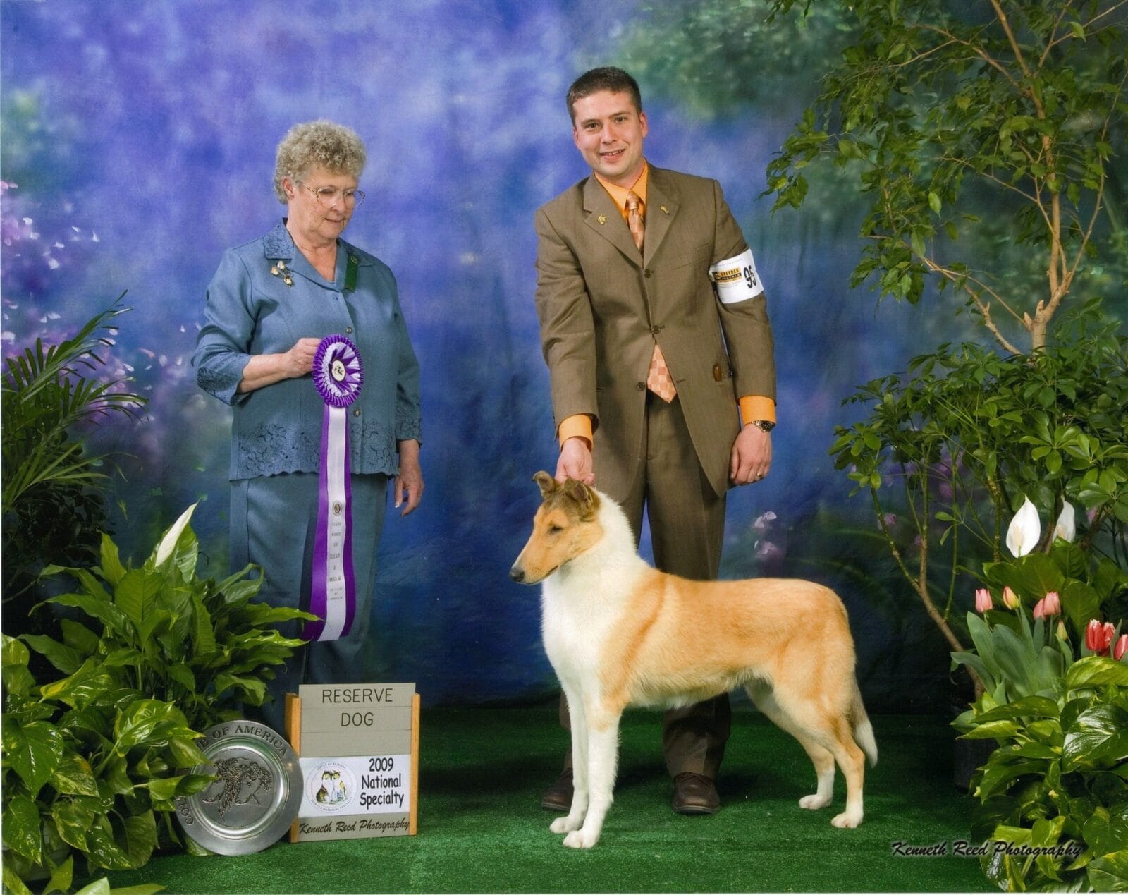 Sable Merle Smooth Collie