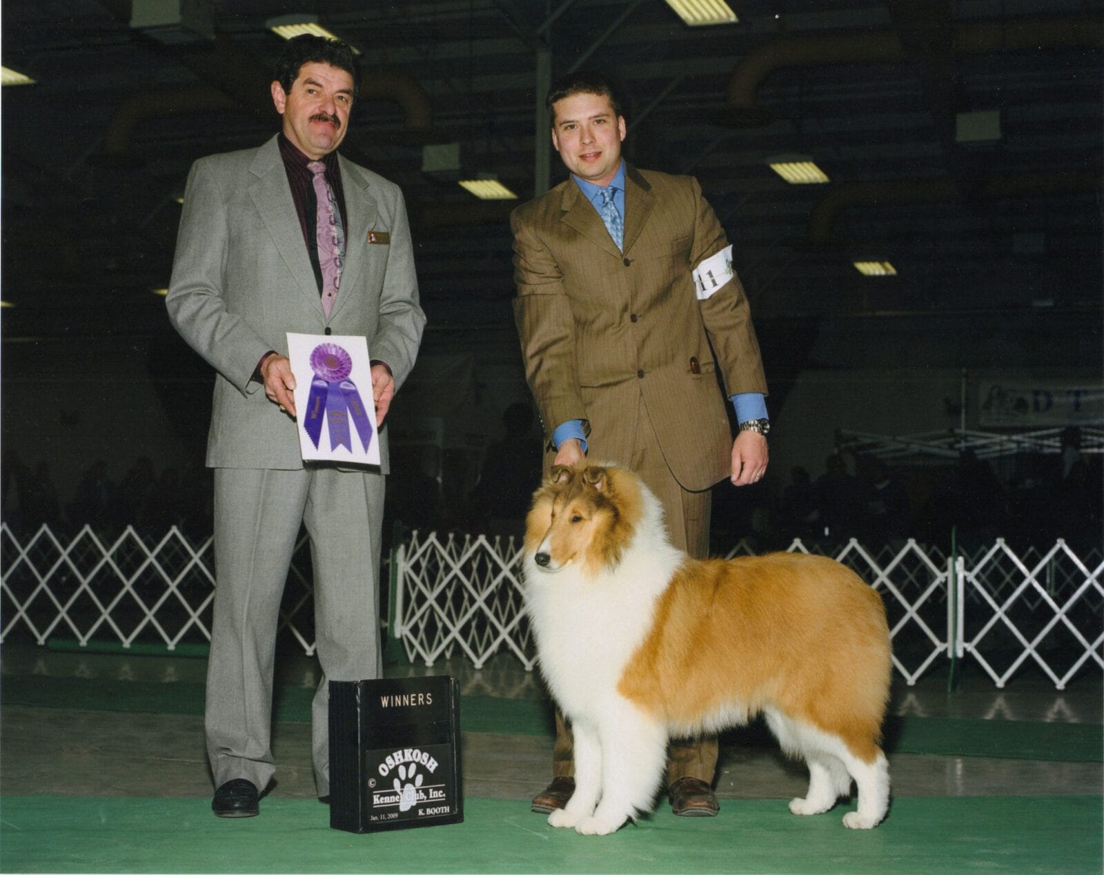 sable-rough-collie_wyndlair-polaris_oshkosh_lloyd-graser