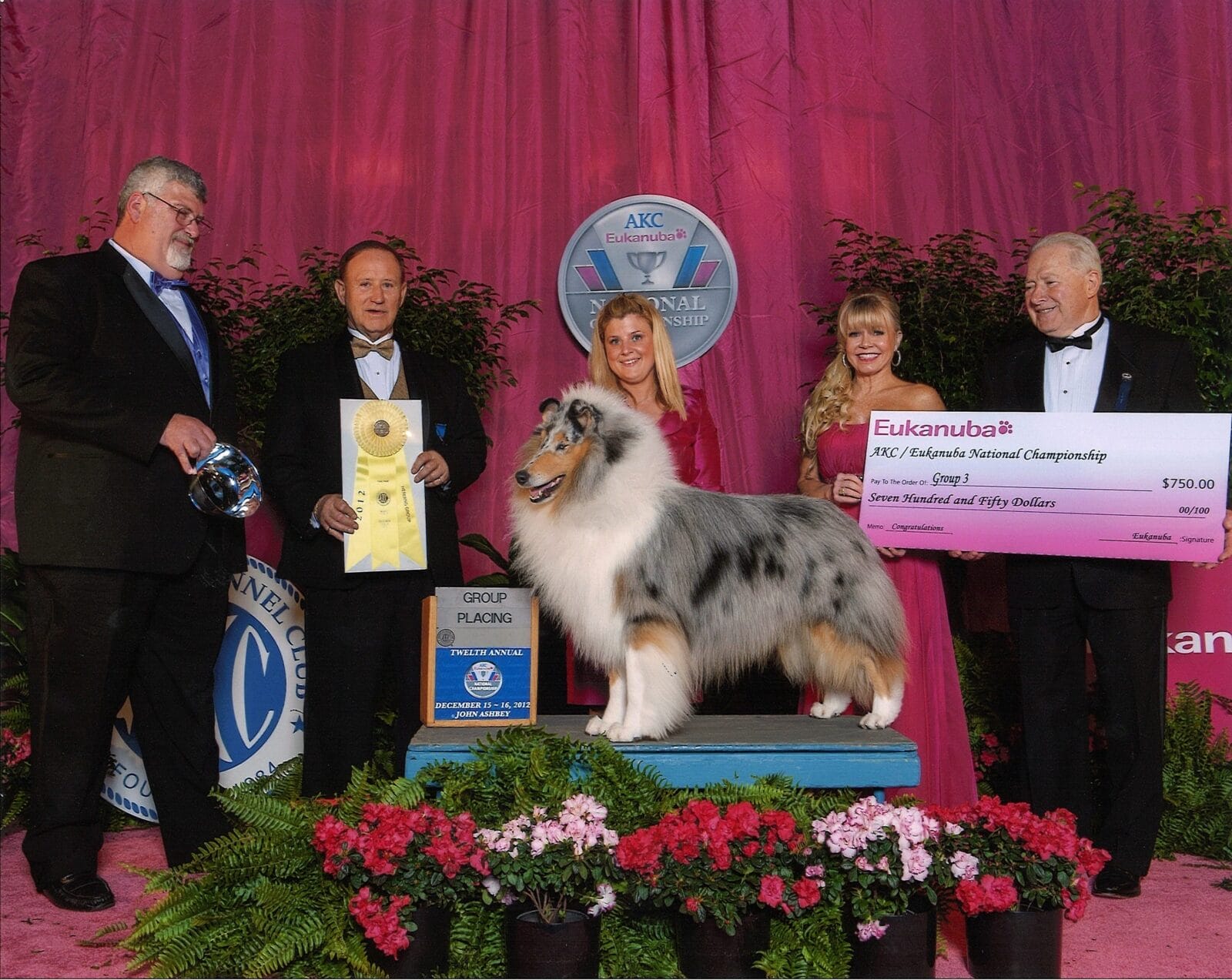 GCHP. Wyndlair Cherokee Vindication-G3-Eukanuba-Florida