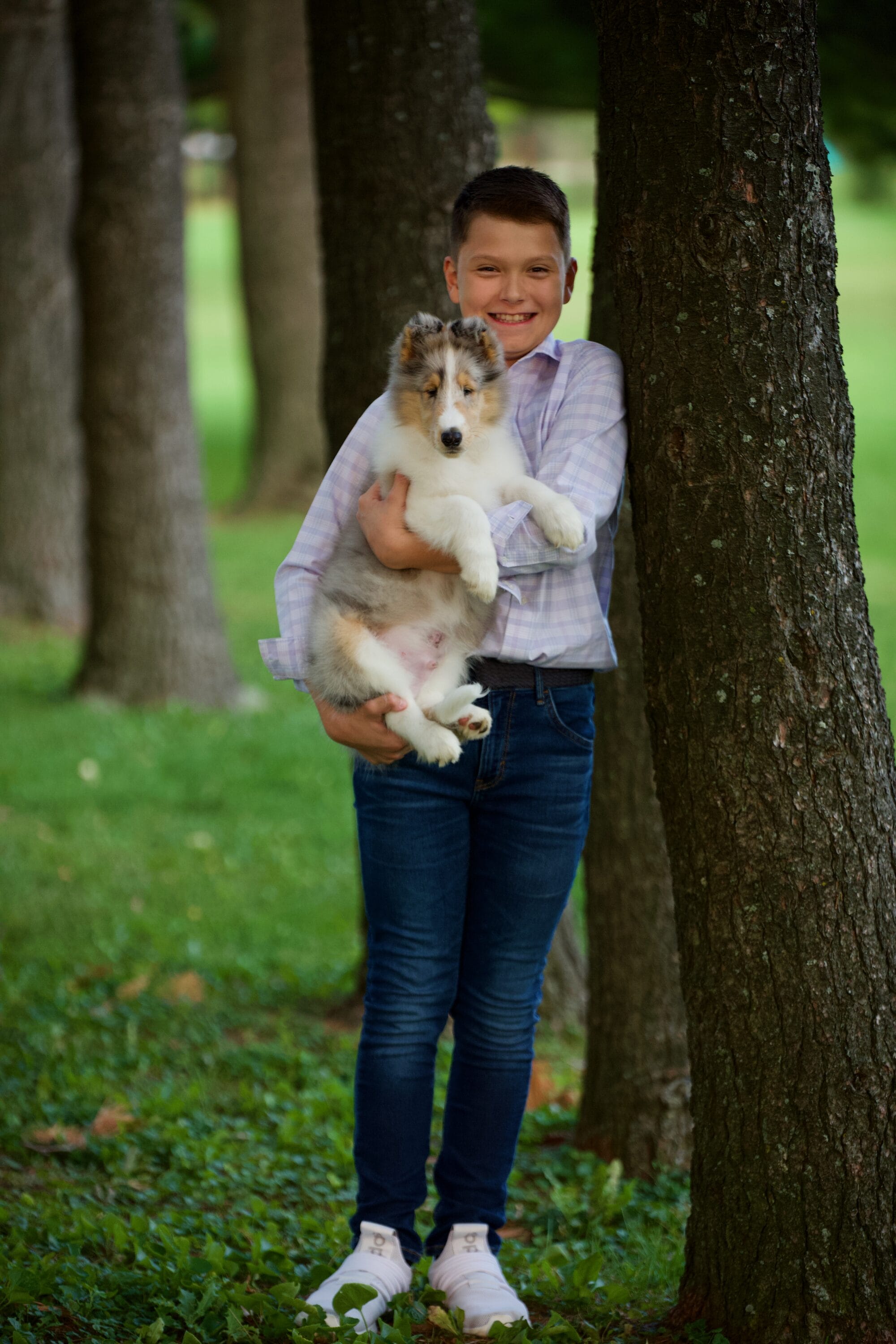 boy holding blue merle collie puppy