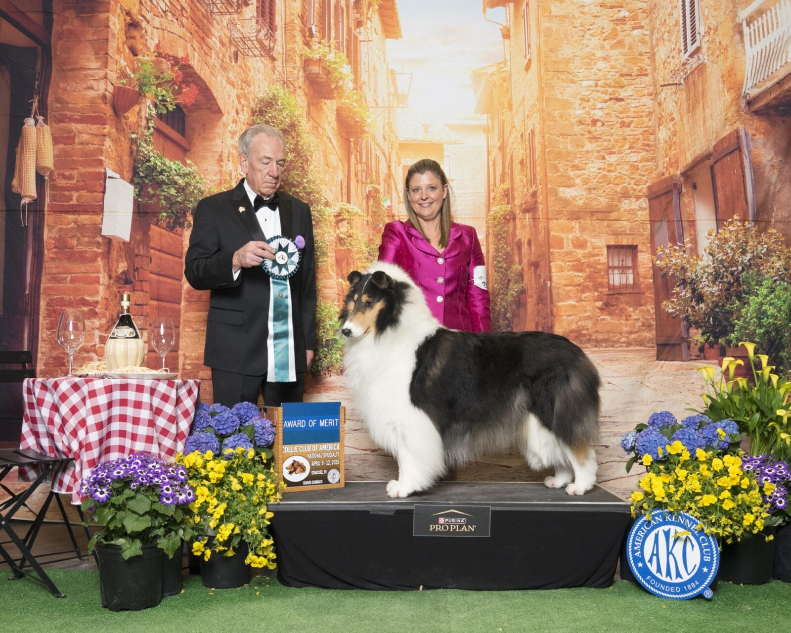 GCH. Wyndlair Cherokee Independence - 2025 CCA Award of Merit