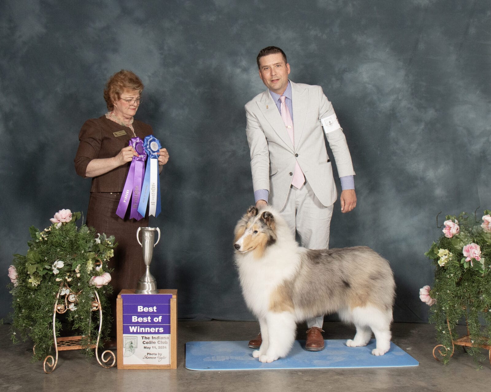 wyndlair-titanium-indiana-laura-labounty-special-collies