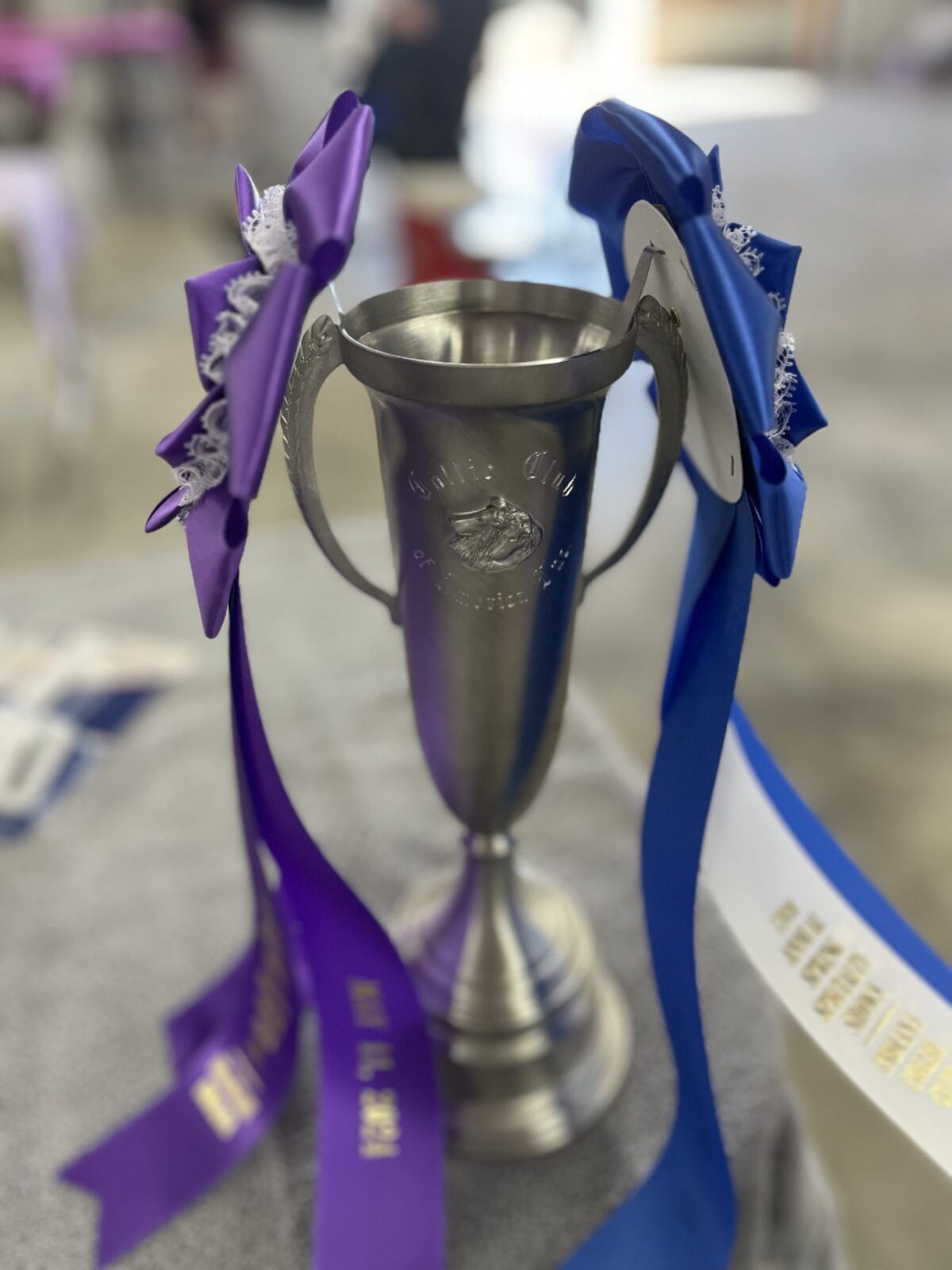 wyndlair-titanium-indiana-loving-cup-rosettes