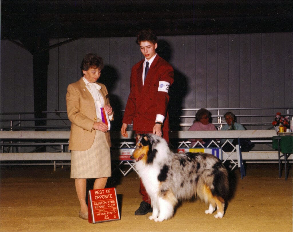 Highcroft Blue Merle Collie - Ch. Highcroft Hearts Desire