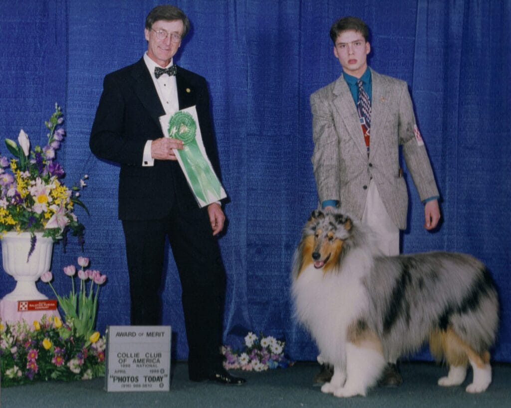 Blue Merle Collie in Virginia - Ch. Executive's Windrider of Oxford