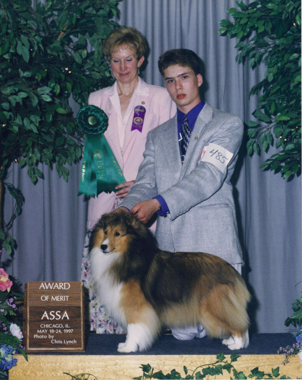Miniature Collie - Ch. Brownlee's Carosel