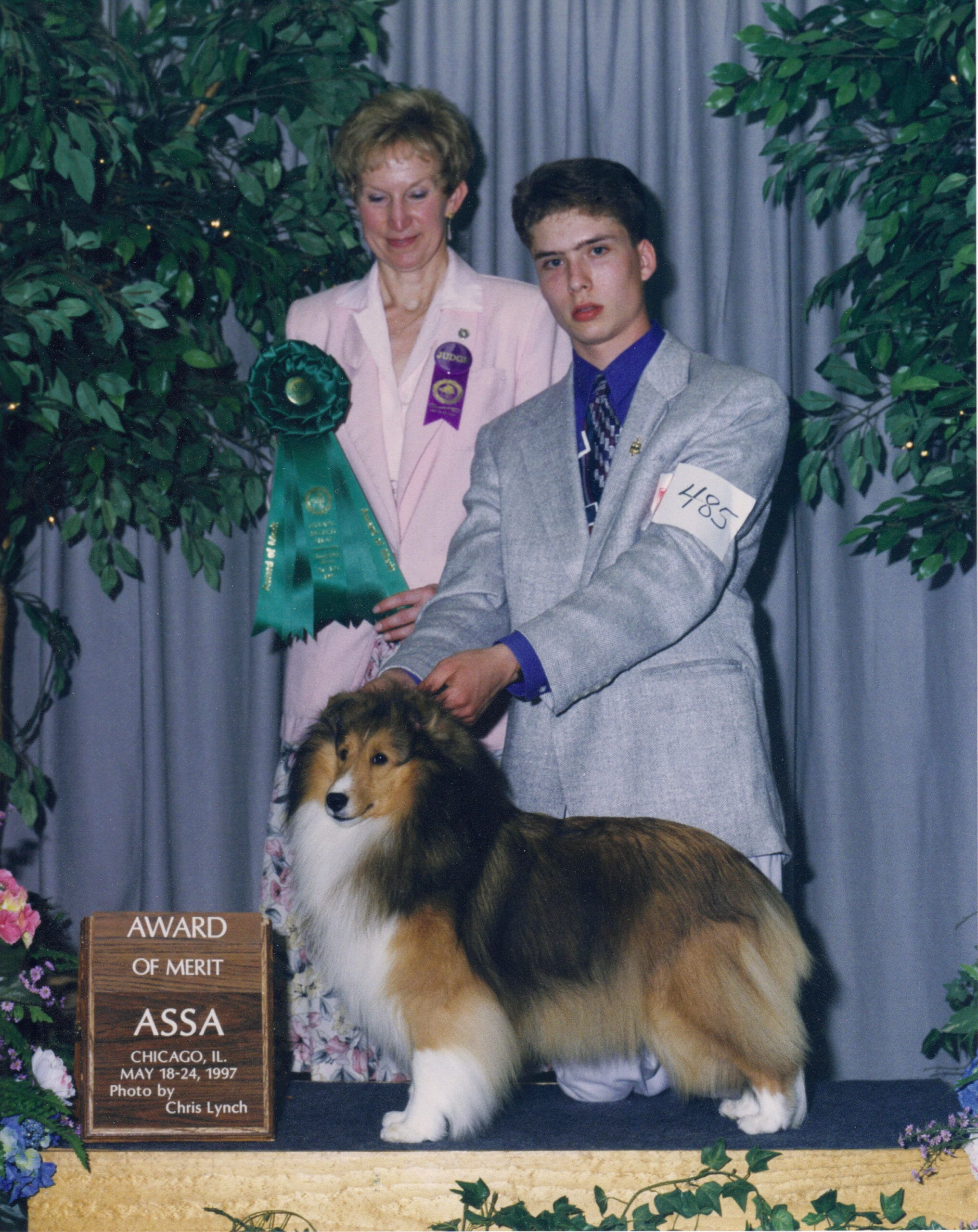 Miniature Collie - Ch. Brownlee's Carosel