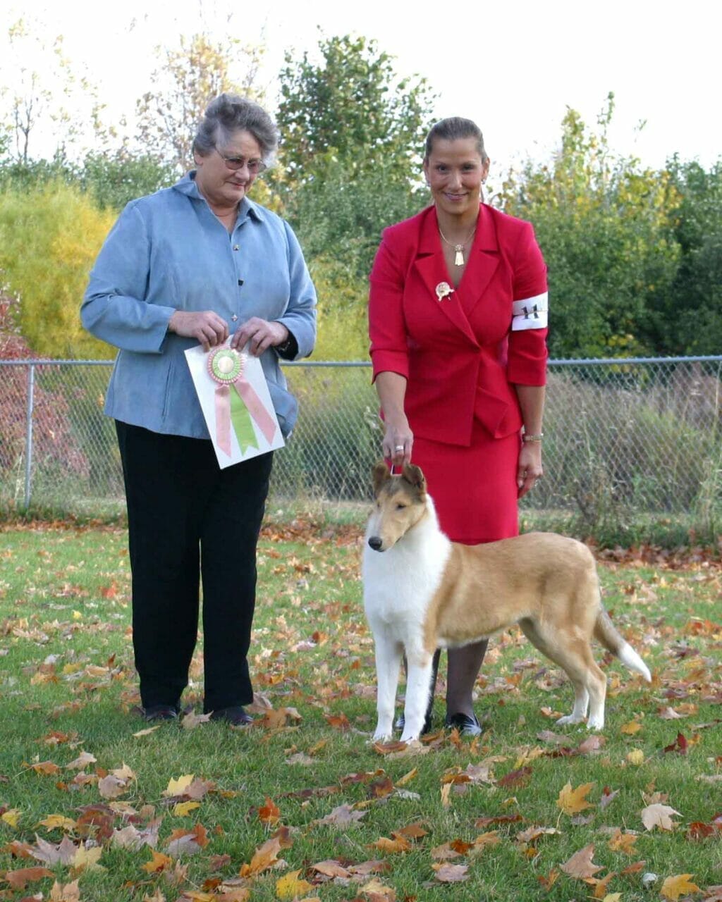 sable-merle-smooth-collie_classique-wyndlair-alliance_nwcc-best-in-sweeps