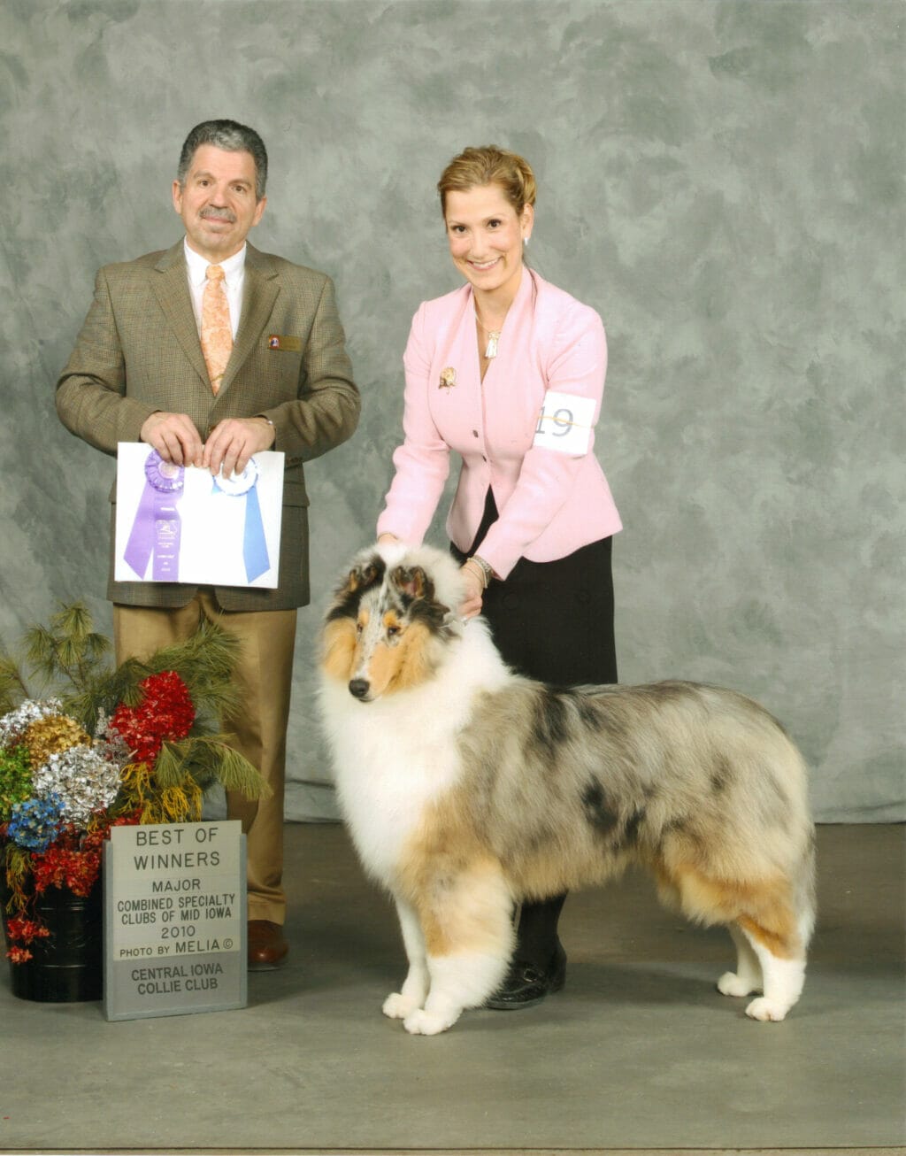 blue-merle-collie_wyndlair-point-given_iowa_hicrest joe reno