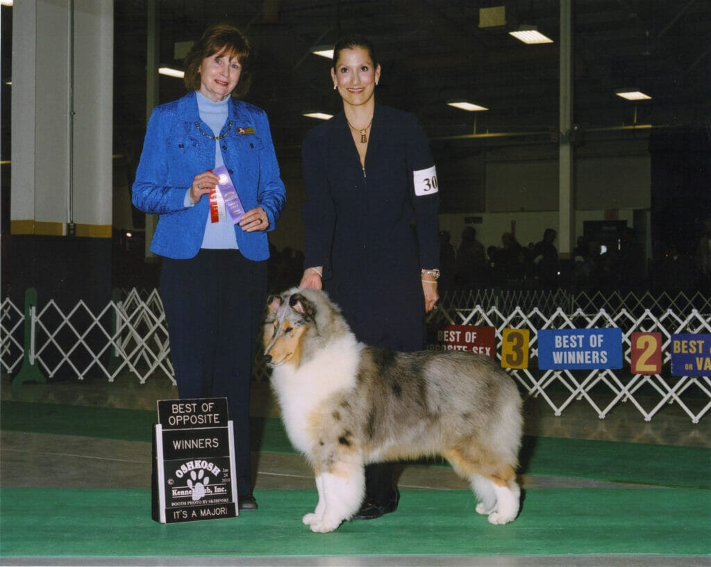 blue-merle-collie_wyndlair-rachel-alexandra_wisconsin