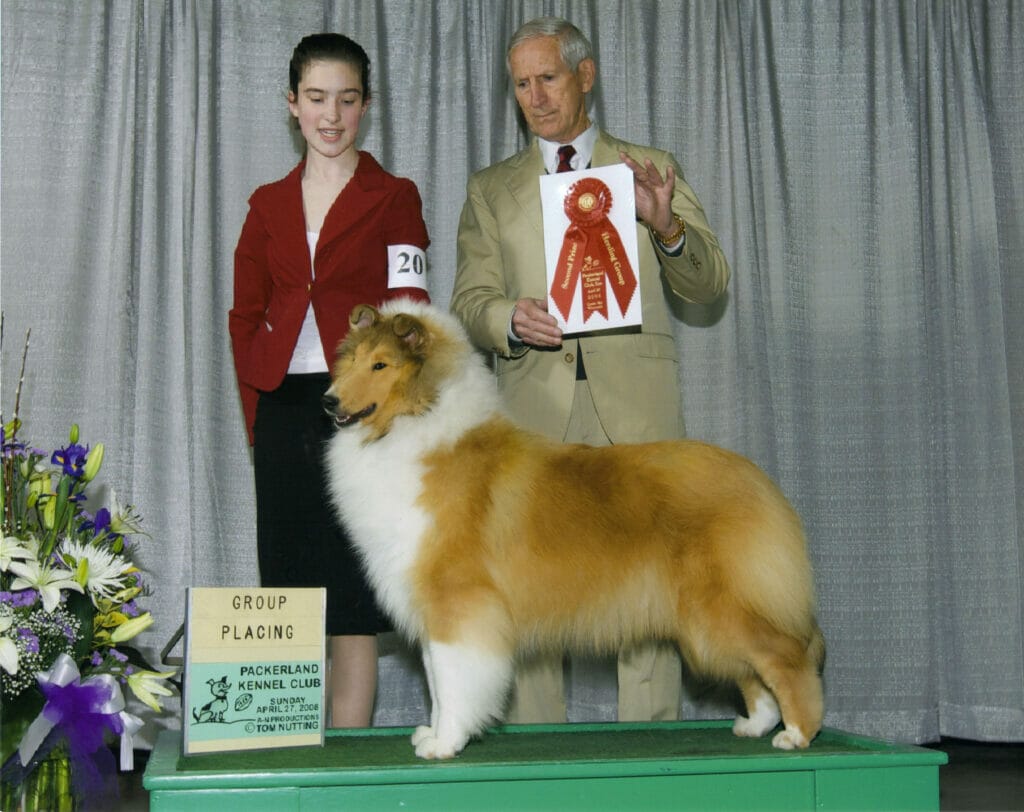 sable-rough-collie_wyndlair-madison-avenue_group-2_green-bay