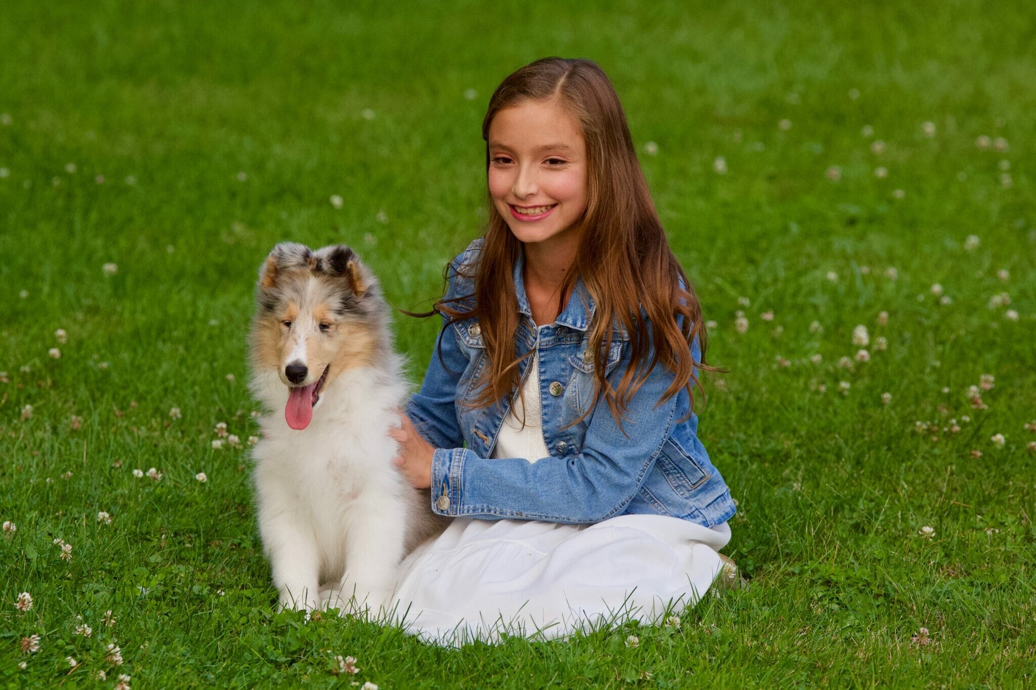Girl with Blue Merle Collie Puppy