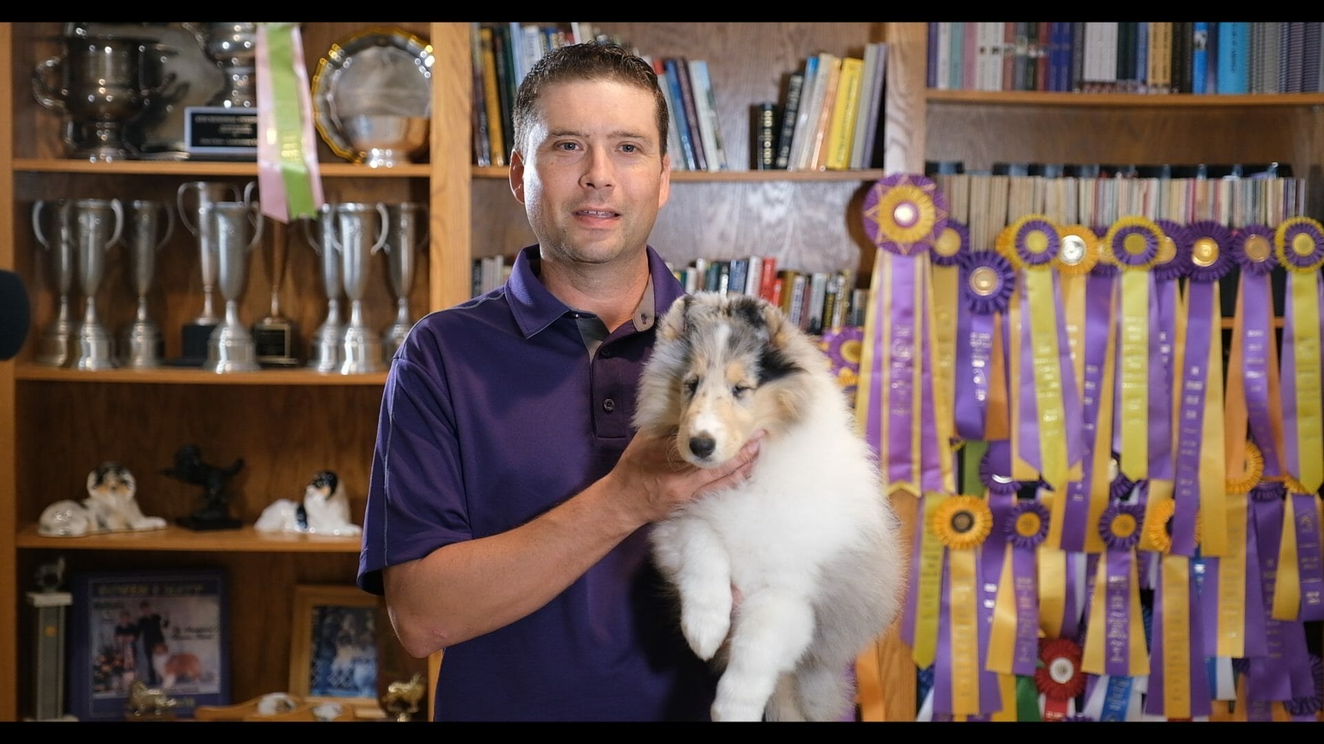 Matt Stelter with Collie puppy ears taped