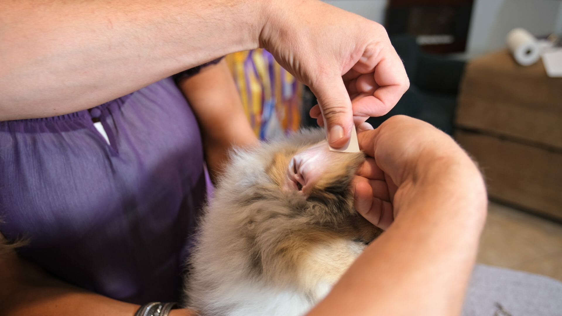 Rubbing ear with Japanese tape