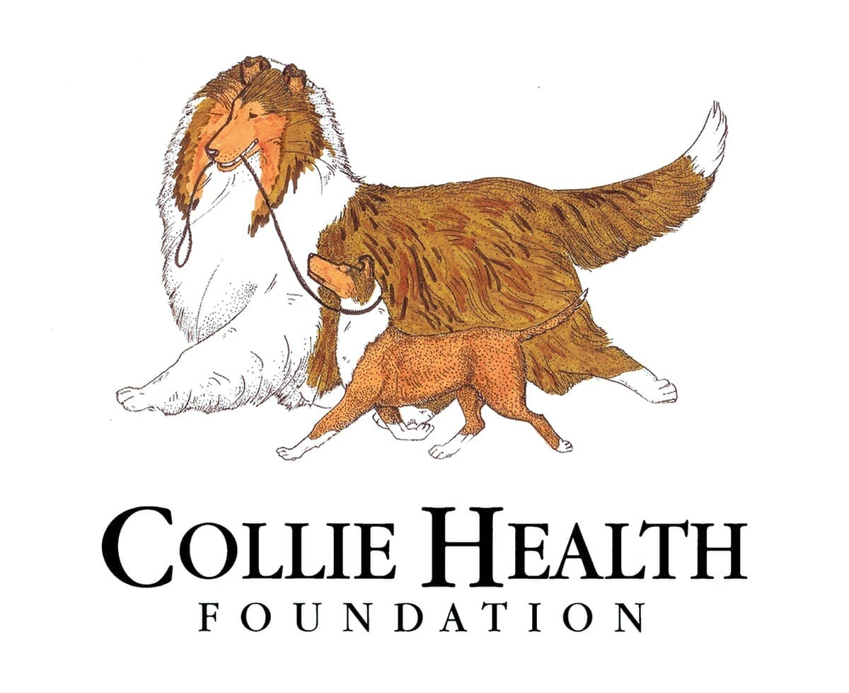 Collie Health Foundation Logo