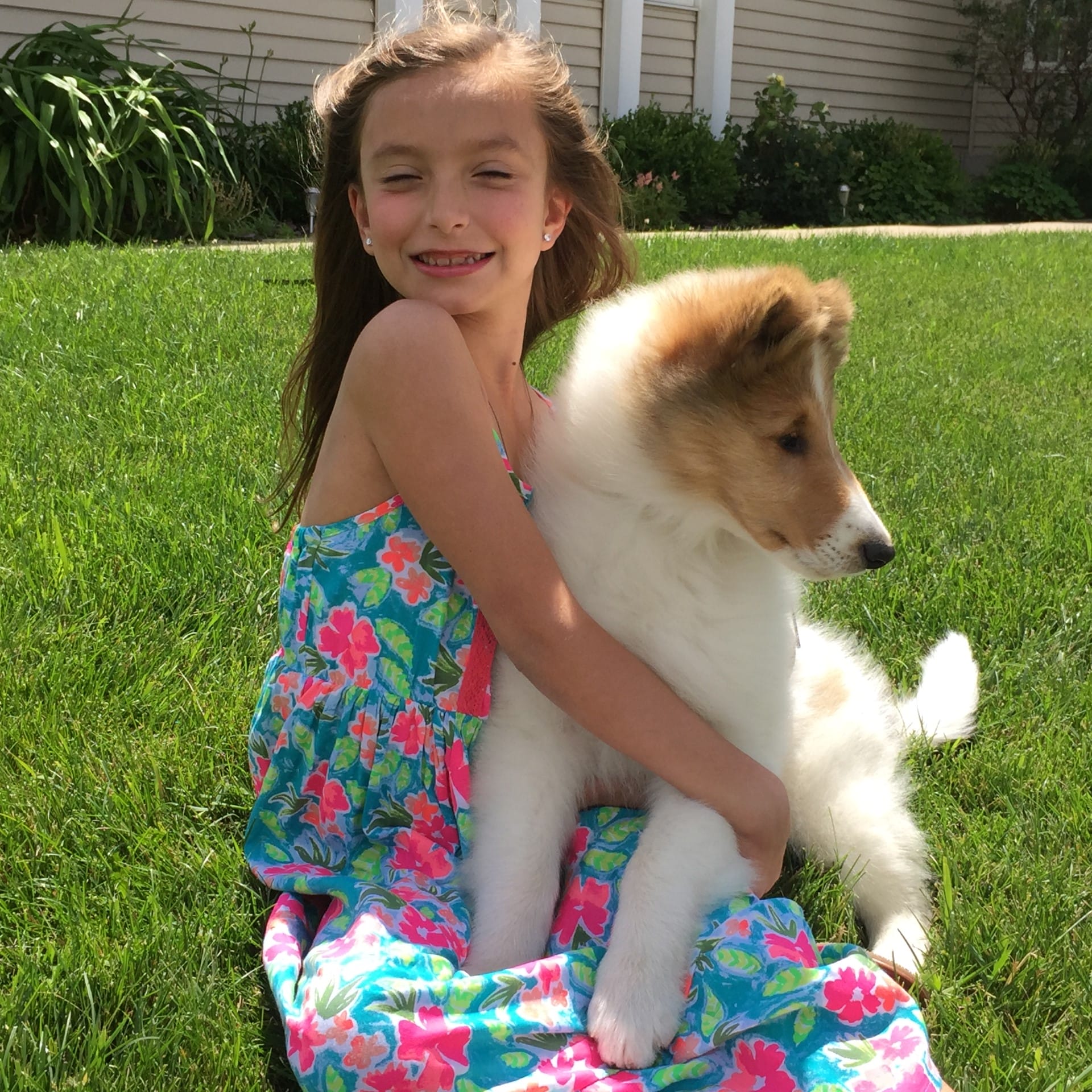 White-Collie-Puppy-with-Smiling-Girl