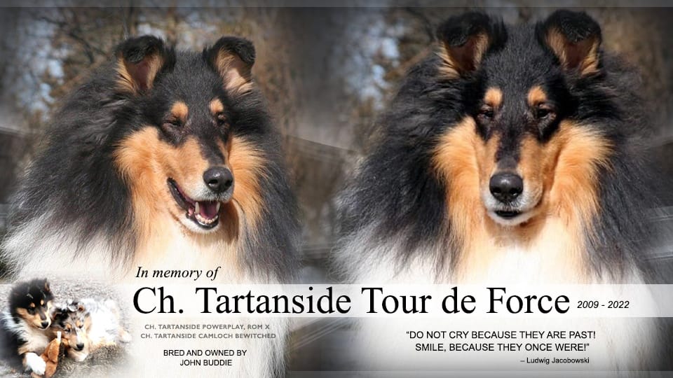 Ch. Tartanside Tour de Force